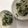 りりらっち's cooksnap of when they made 簡単！もやしとにらのおひたし.