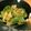 北のデビル。's cooksnap of when they made 鶏皮とピーマンの油味噌。.