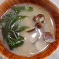 ねずみんパラダイス's cooksnap of when they made シジミの味噌汁にわかめ.
