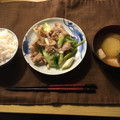 クックWBXLLD☆'s cooksnap of when they made 簡単☆豚肉とネギの塩麹炒め.