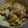 ヨシヨッシー's cooksnap of when they made 5分でできる！簡単！あさりの酒蒸し　.