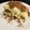 双子ボーイズのママ☆'s cooksnap of when they made イタリア人の作る本場ティラミス.