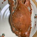 ariitan♡'s cooksnap of when they made 【フライパンで】渡り蟹の茹で方.
