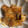 クック7JCRY2☆'s cooksnap of when they made 厚揚げとエビのエビチリ！.