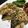 ☆GSSQHY☆'s cooksnap of when they made さばのカレーマヨサクサクパン粉焼き.