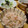 ふぁびこ's cooksnap of when they made 蕗（フキ）と干しエビの炊き込みご飯.