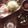 roco__'s cooksnap of when they made 黄身が真ん中♪目玉焼き.