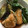 ぴよだまりん's cooksnap of when they made 夏野菜と鮭の南蛮漬け.