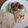 principito's cooksnap of when they made フムス　ひよこ豆のディップ.