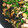 クックプ～'s cooksnap of when they made とろとろナスとピーマンのオイスター炒め.