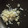 ﾌﾞﾚﾝﾀﾞ's cooksnap of when they made ニンニクのみじん切りの仕方 #うちの.