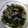 みこひろママ's cooksnap of when they made ほうれん草・もやし・なめこの和え物.