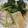 みたらしだんご大好き's cooksnap of when they made 簡単煮物☆厚揚げと小松菜の煮浸し.