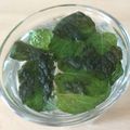 Yokchina's cooksnap of when they made ハーブティー♪摘みたてミントティー！.