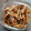 nosso's cooksnap of when they made 豚肉とごぼうのごまみそ炒め.