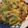 えりぺこ's cooksnap of when they made 厚揚げのレタスあんかけ.