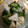 ポポポポポフィ〜♡'s cooksnap of when they made 梅昆布茶で簡単！大根ときゅうりの浅漬け.
