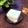 マールマル's cooksnap of when they made 梨ミルクゼリー.