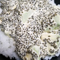 ７２３'s cooksnap of when they made ＊とんぶりとアボガドのマヨ醤油あえ＊.