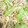 クック15FFG6☆'s cooksnap of when they made さっぱり野菜炒め.