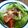 デラロサ's cooksnap of when they made 簡単♪きのこのシンプルサラダ.