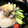 ao_6oc9's cooksnap of when they made 炊飯器で簡単♪海南鶏飯（蒸し鶏ご飯）.