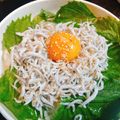 じんとっと's cooksnap of when they made ✼あっさり美味しい✼絶品しらす丼.