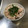 M順コ's cooksnap of when they made 梅とタコの炊き込みごはん.