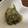 うなちゃん！'s cooksnap of when they made オクラの簡単ごま和え！お弁当に.