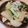 夜盗エメラルド's cooksnap of when they made あっさり小松菜大根豚肉炒め＊.
