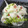 辰夫女子's cooksnap of when they made しその実と大根の＊浅漬け＊.