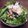 nemuchan's cooksnap of when they made 簡単★水菜わかめしらすのさっぱりサラダ.