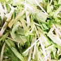 メリー・モコ's cooksnap of when they made 水菜のごまと麺つゆの簡単サラダ.