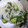 小麦粉【100g】's cooksnap of when they made なんとも美味しいきゅうりの漬け物.