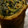 kuragenoie's cooksnap of when they made オカワカメのだし巻き卵.