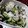 あやかママ0905's cooksnap of when they made しその実と大根の＊浅漬け＊.