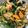 Lake☆Erie's cooksnap of when they made ウェーバーの野菜炒め.