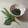 horseland's cooksnap of when they made シソの実 佃煮.