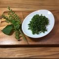 horseland's cooksnap of when they made しその実 基本のあく抜き.