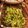 クックXRK5VE☆'s cooksnap of when they made 豆苗の中華サラダ.