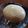 りりもこもこ's cooksnap of when they made 【味玉】余った餃子のたれでしみしみ.