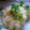 manneriryouri's cooksnap of when they made ★揚げ玉きかせて★和風ポテグラタン.