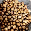 ジュンぺさん's cooksnap of when they made むかご塩茹で.