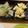 めぐまろろ's cooksnap of when they made ブナシメジと玉ねぎのスクランブルエッグ.
