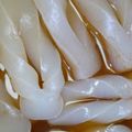 わかめるちょ's cooksnap of when they made 初心者向け手綱こんにゃくの煮物(激ウマ).