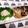 ゆいぴょんママ's cooksnap of when they made ニシンの姿焼き（塩焼き）グリル機能で簡単.