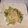 クックM7YXSD☆'s cooksnap of when they made ゴーヤとツナのサラダ.