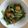 いずみはる's cooksnap of when they made 小松菜と桜えびのさっと煮.