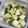 クックNP9ISV☆'s cooksnap of when they made セロリときゅうり.