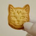 はーっち's cooksnap of when they made 300％成功する！型抜きクッキー.